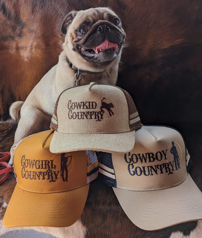 398741838 329901356428864 2853935981671691994 n 768x904