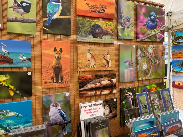 MARTIN WILLIS PHOTOGRAPHY