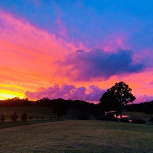 Beautiful Sunset over Barrine