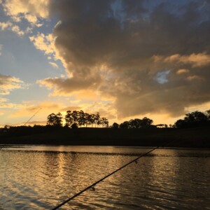 Fishing on Sunset - Lake Tinaroo