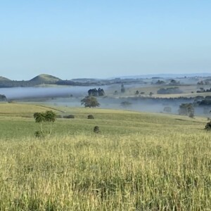 Morning from Peeramon