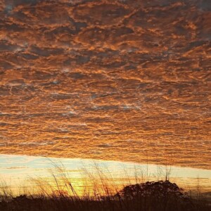 Yungaburra Sunset