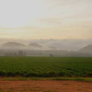 East Barron Dawn