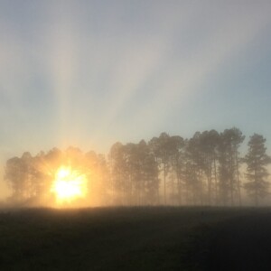 Sunrise at Barrine