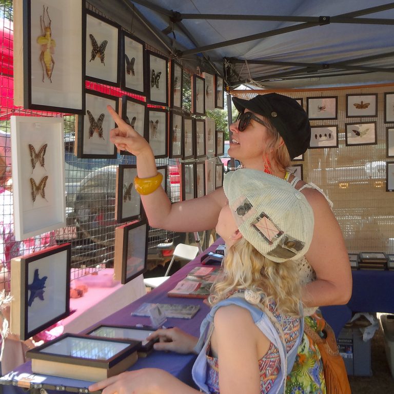 Read more about the article Yungaburra Markets