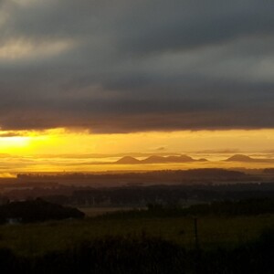 The Seven Sisters Yungaburra