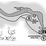 Peterson Creek - Wildlife & Botanical Walking Track